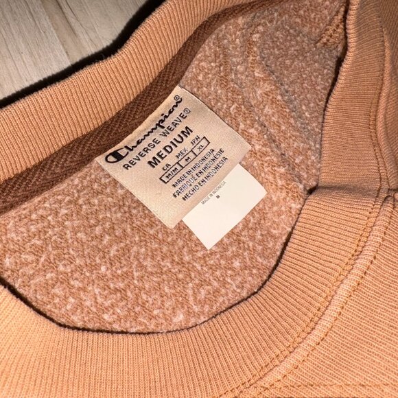 Dyed Tan and Plum Champion Crop SweatShirt - Picture 5 of 8